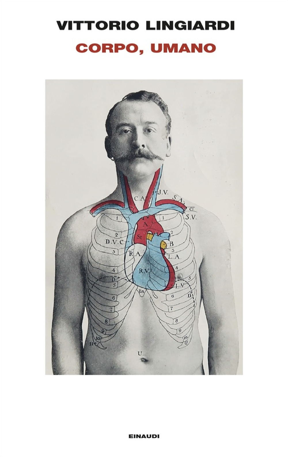 Copertina di Corpo, umano