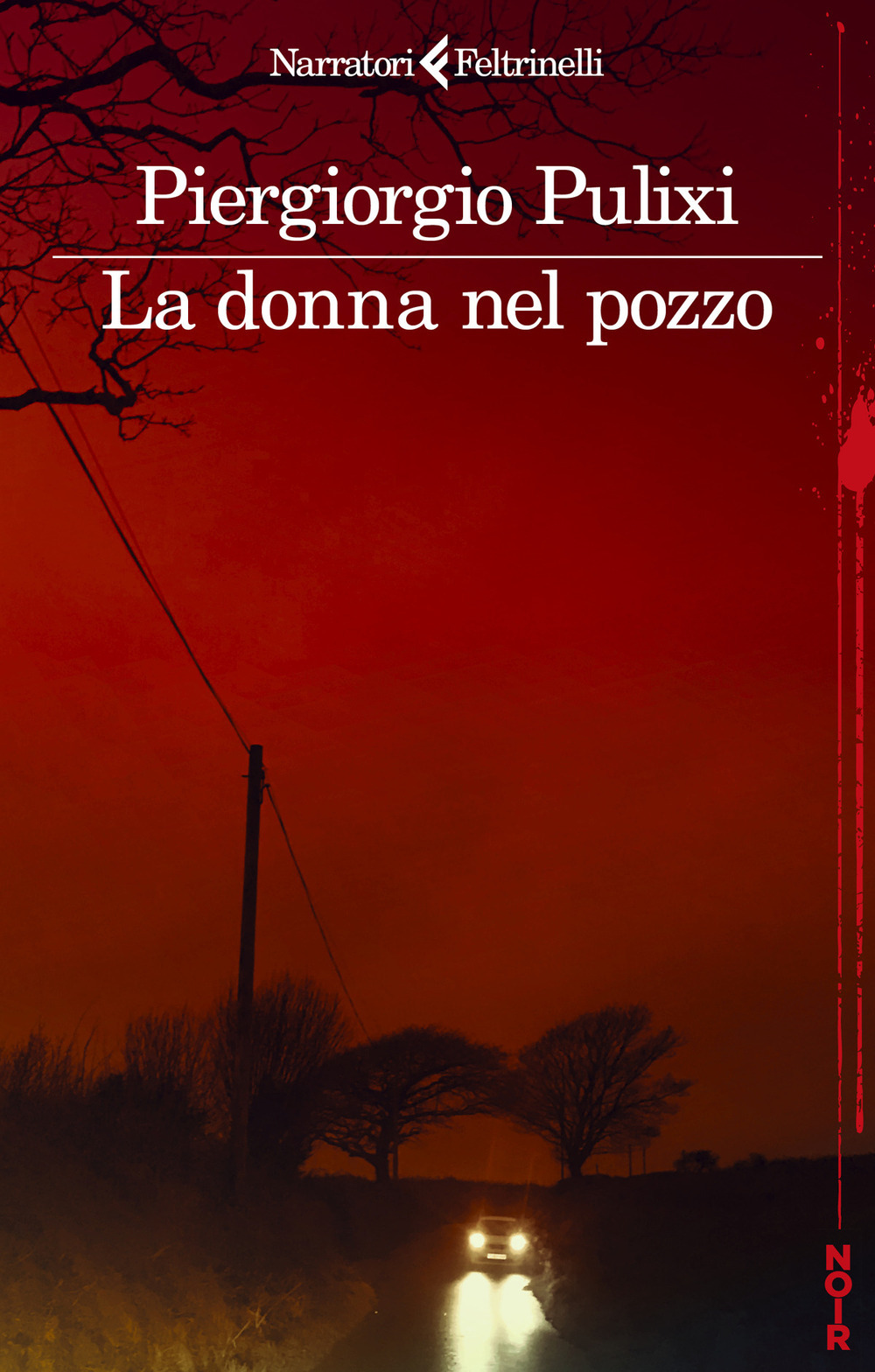 Copertina di La donna nel pozzo