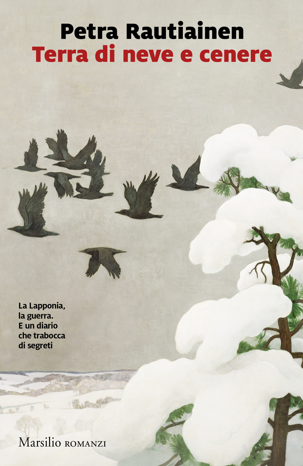 Copertina di Terra di neve e cenere