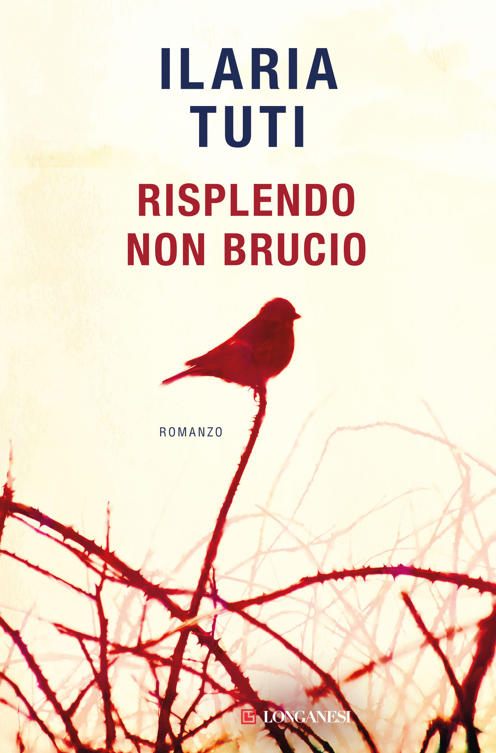 Copertina di Risplendo non brucio