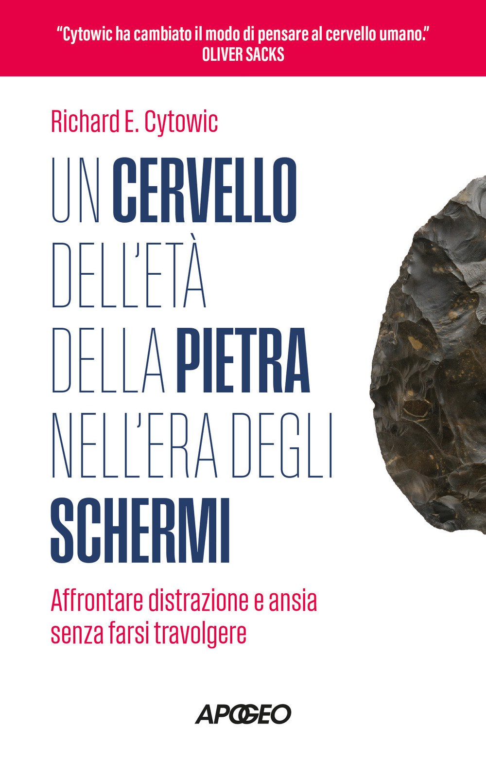 Copertina di Un cervello dell'età della pietra nell'era degli schermi. affrontare distrazione e ansia senza farsi travolgere
