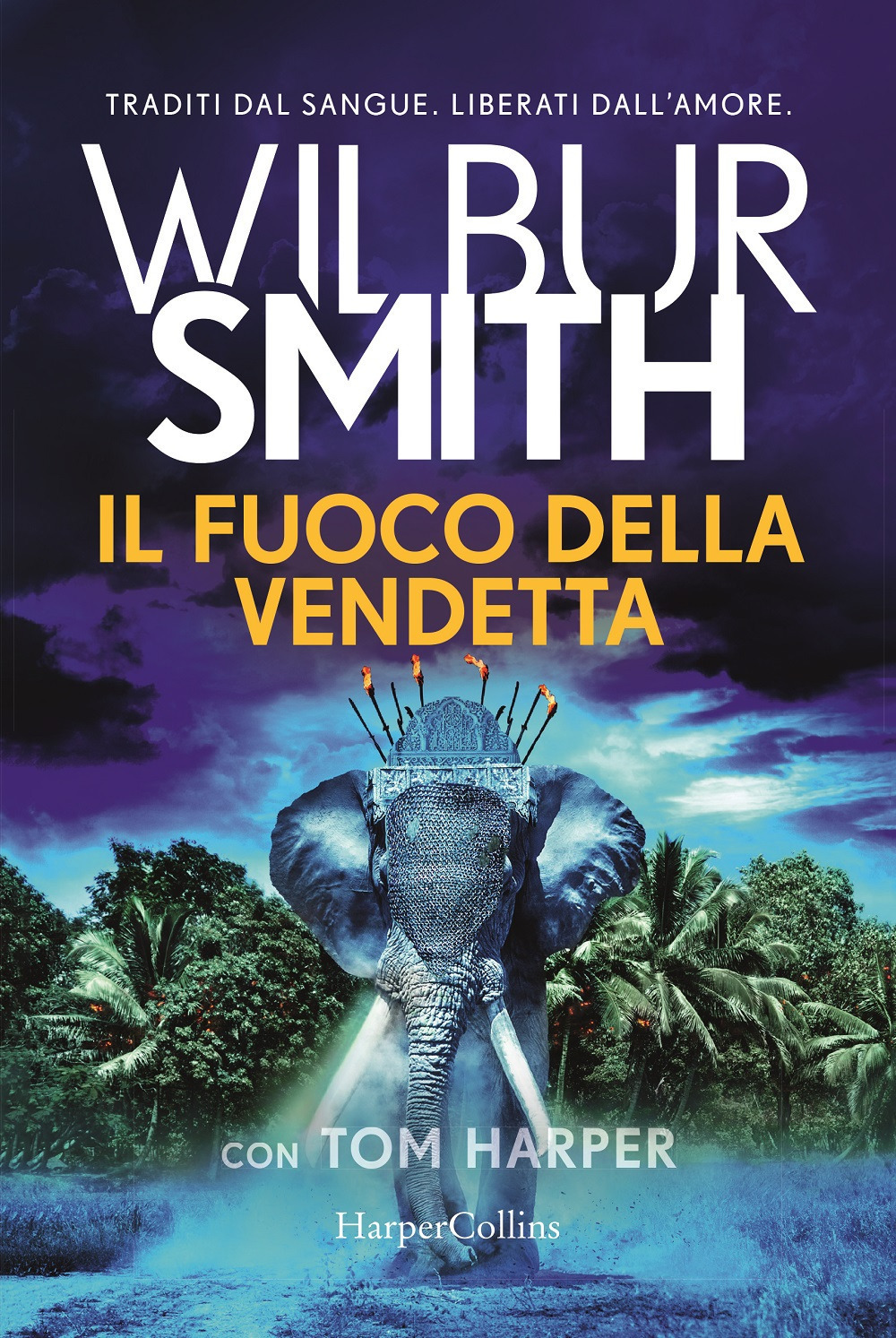 Copertina di Il fuoco della vendetta