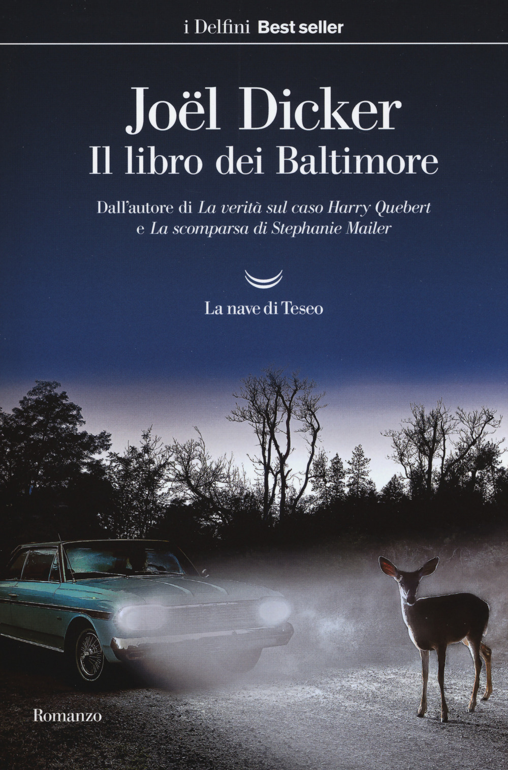 Copertina di Il libro dei baltimore